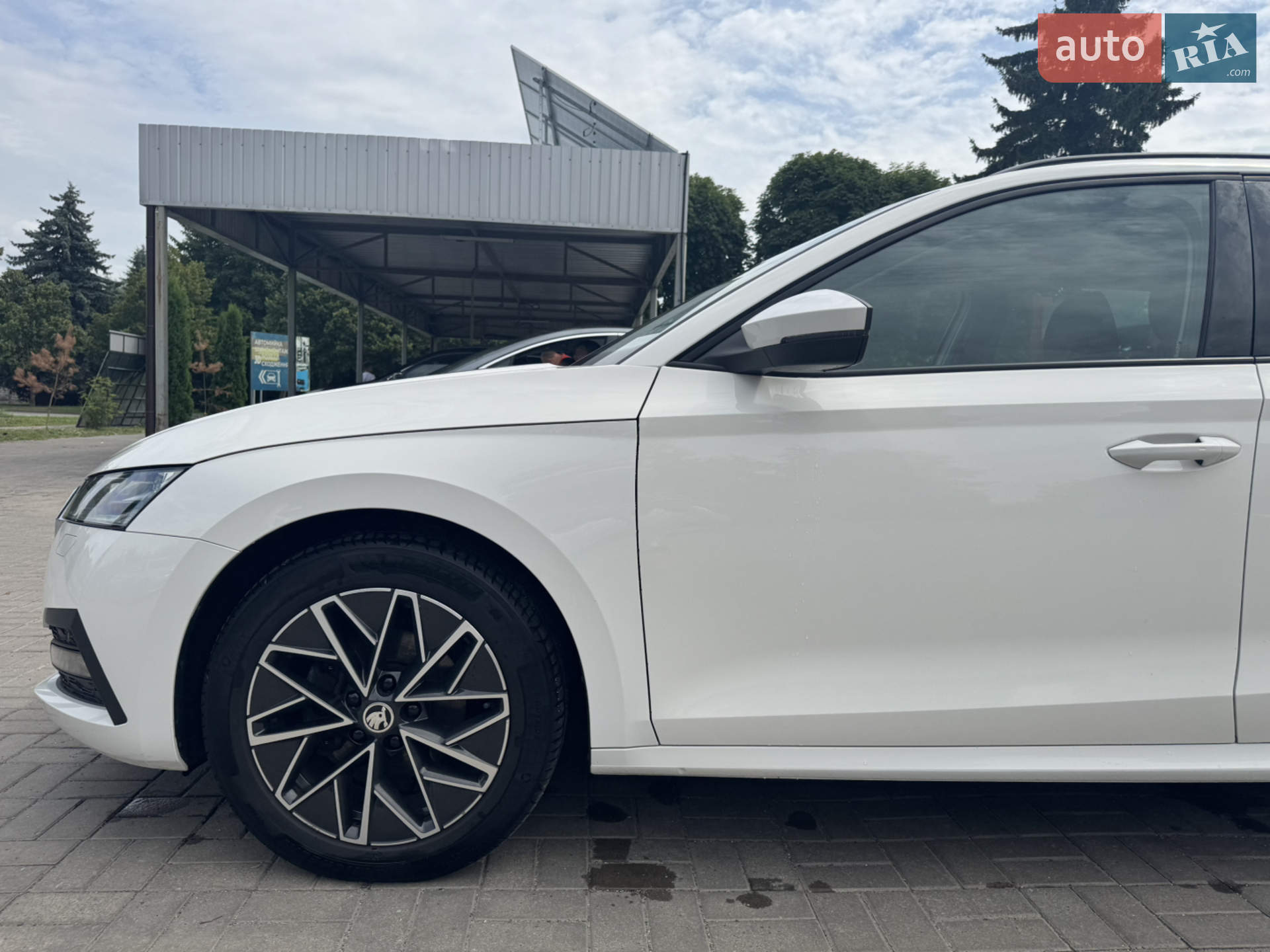 2021 Skoda Octavia - мініатюра 9