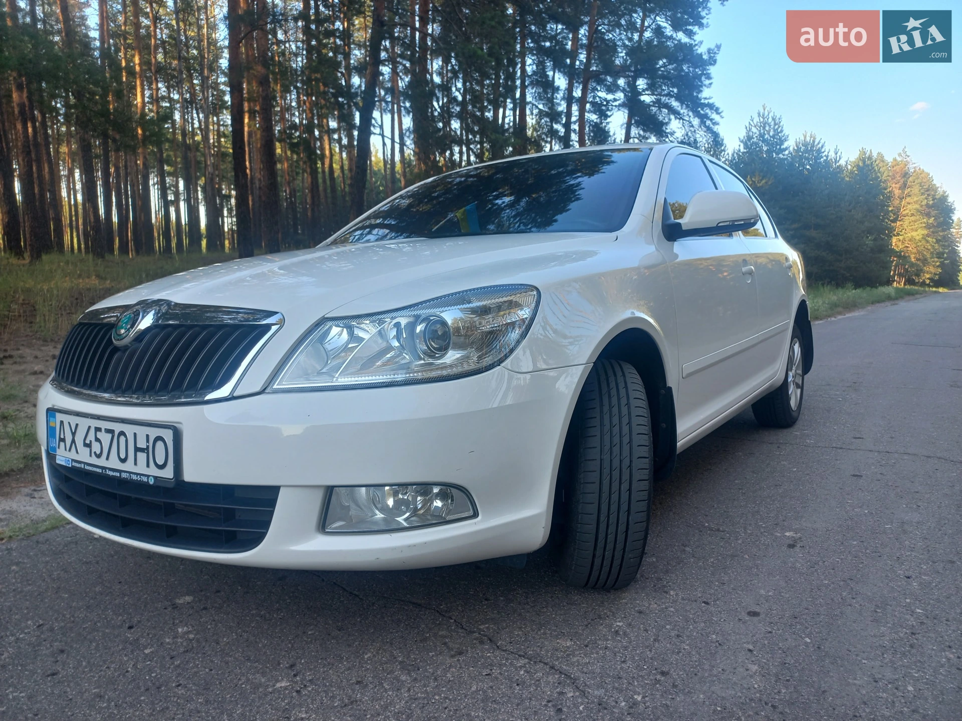 2013 Skoda Octavia - мініатюра 17