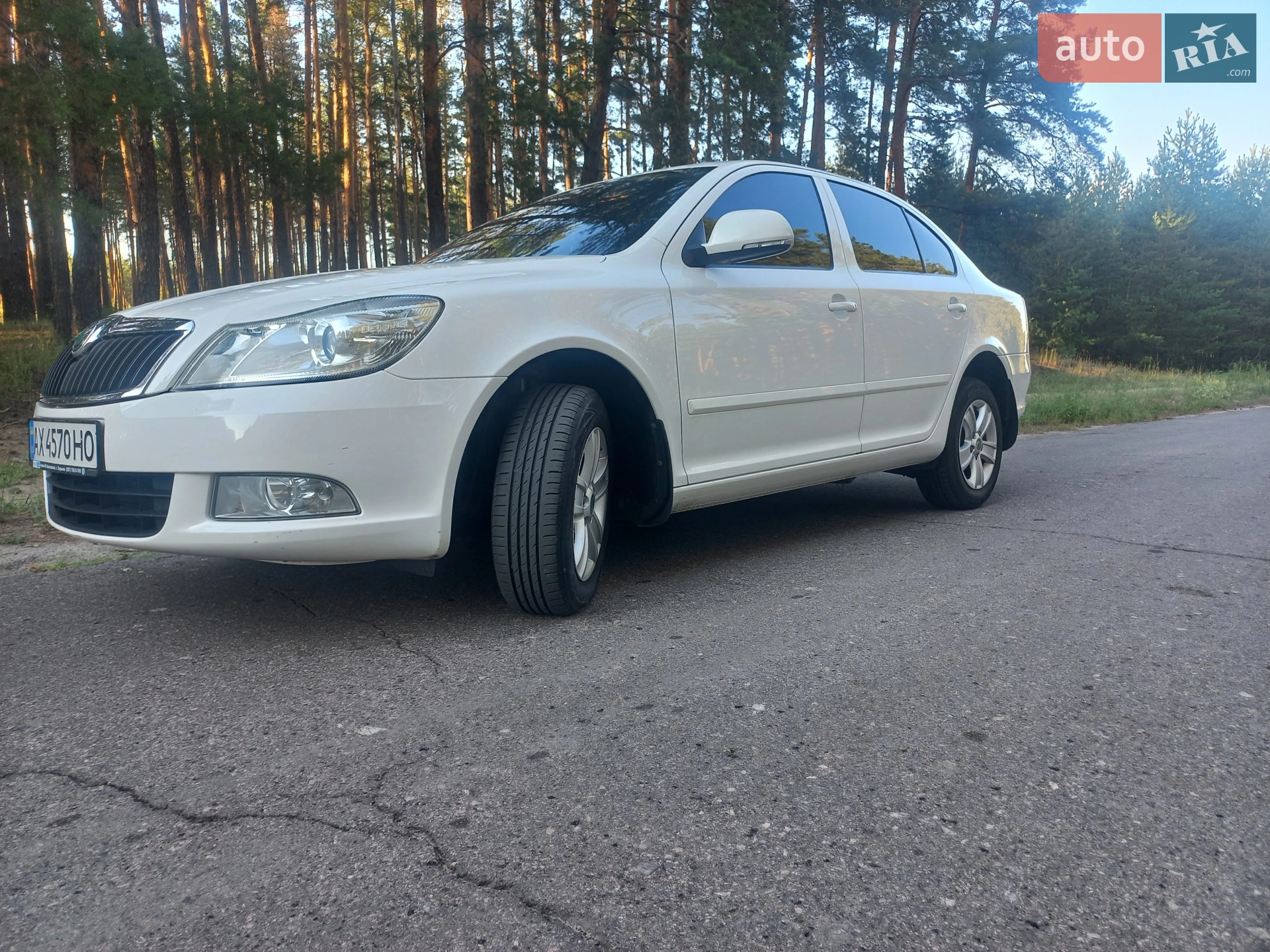 2013 Skoda Octavia - мініатюра 18