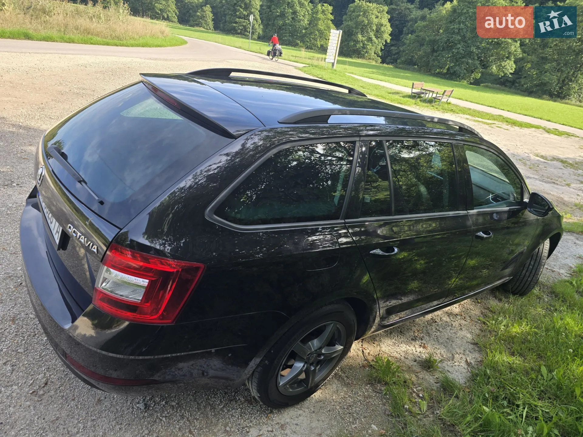2019 Skoda Octavia - мініатюра 6