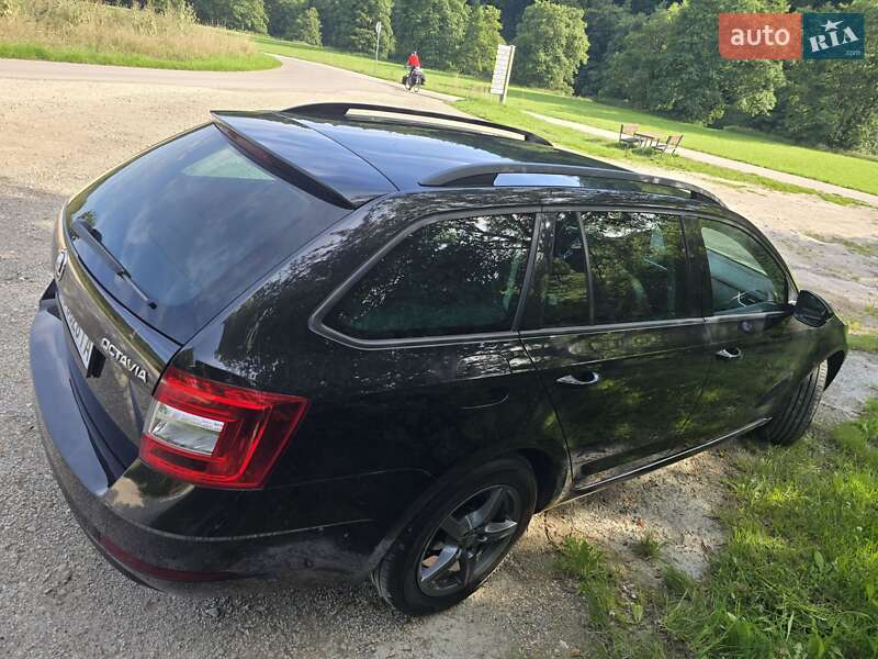 Универсал Skoda Octavia 2019 в Мукачево