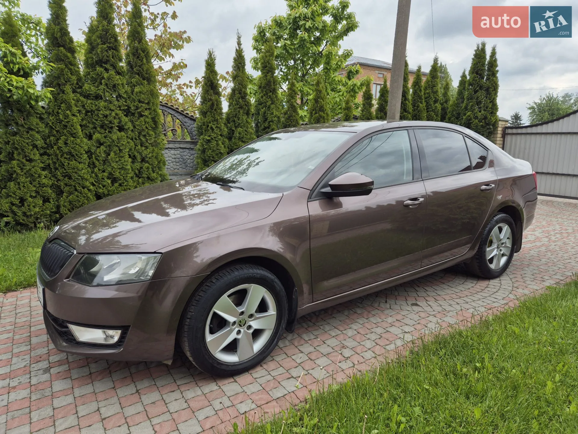 2014 Skoda Octavia - мініатюра 5