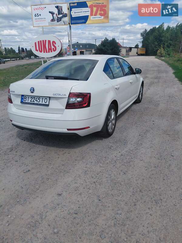 Лифтбек Skoda Octavia 2017 в Кременчуге