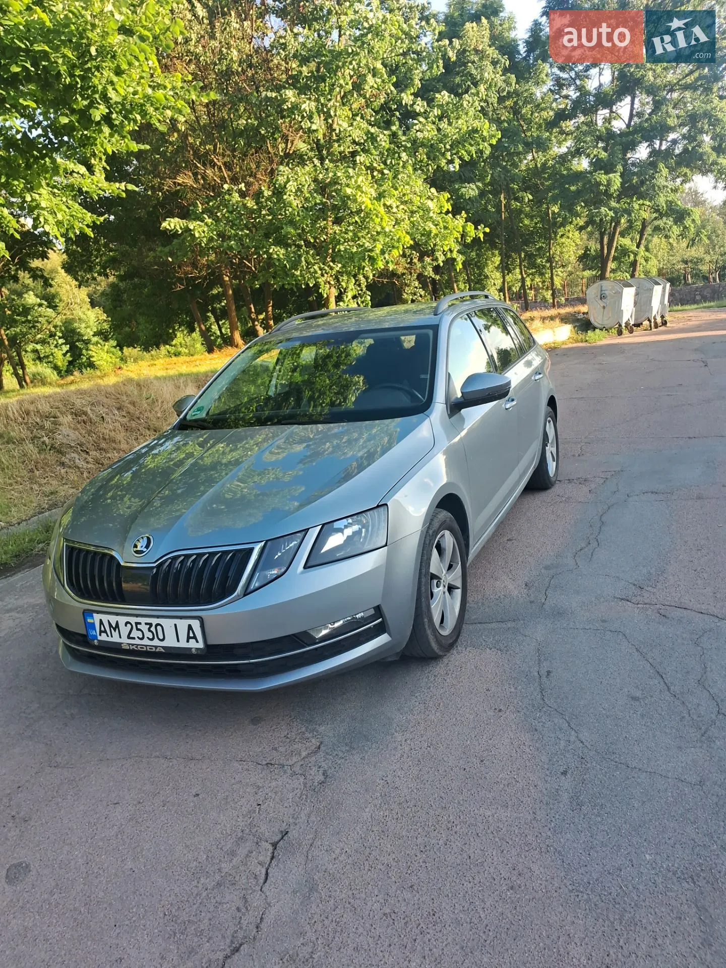 2019 Skoda Octavia - мініатюра 2