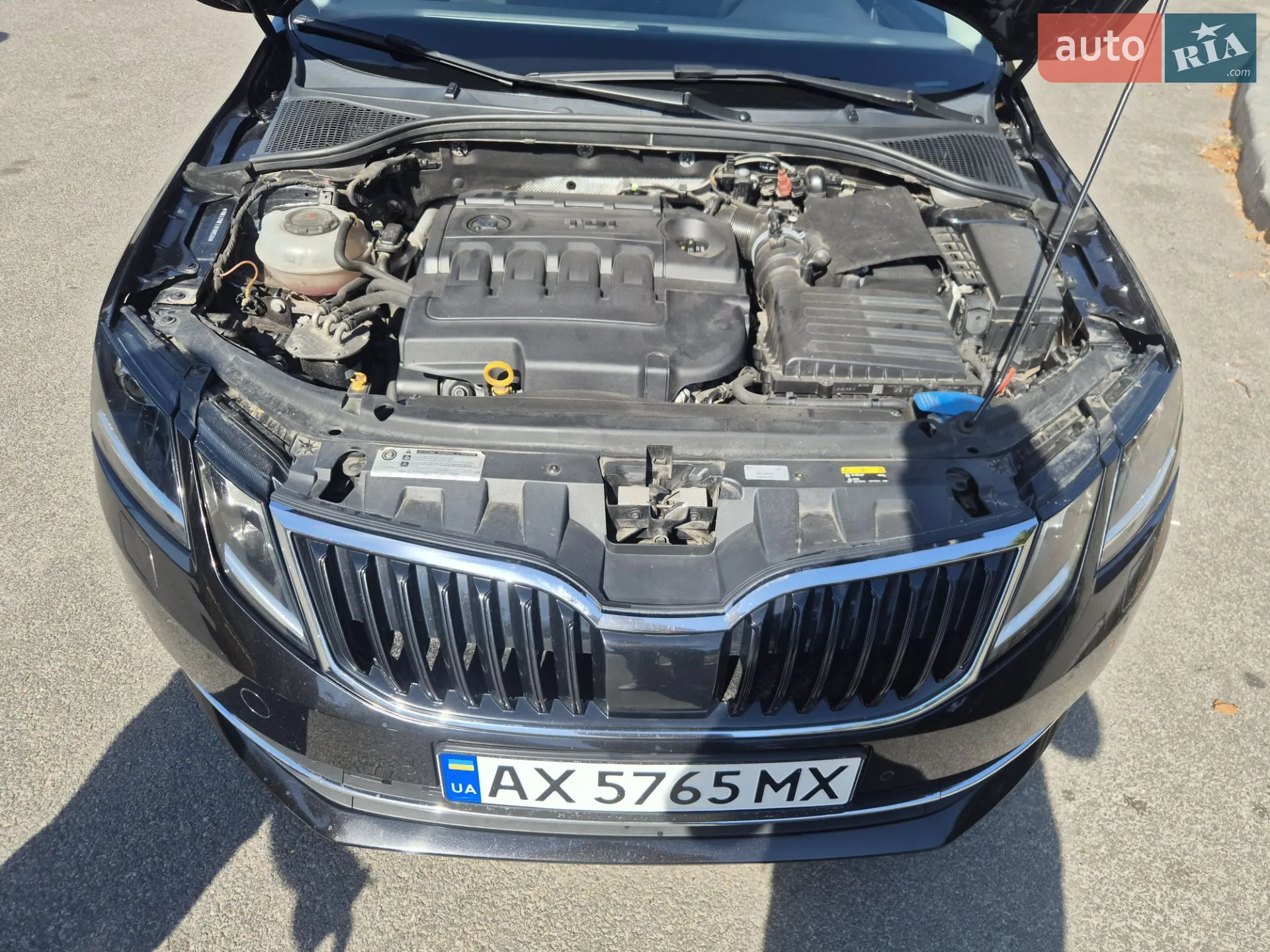 2017 Skoda Octavia - мініатюра 3