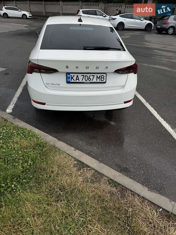 Лифтбек Skoda Octavia 2020 в Песчанке фото 17 Лифтбек Skoda Octavia 2020 в Песчанке