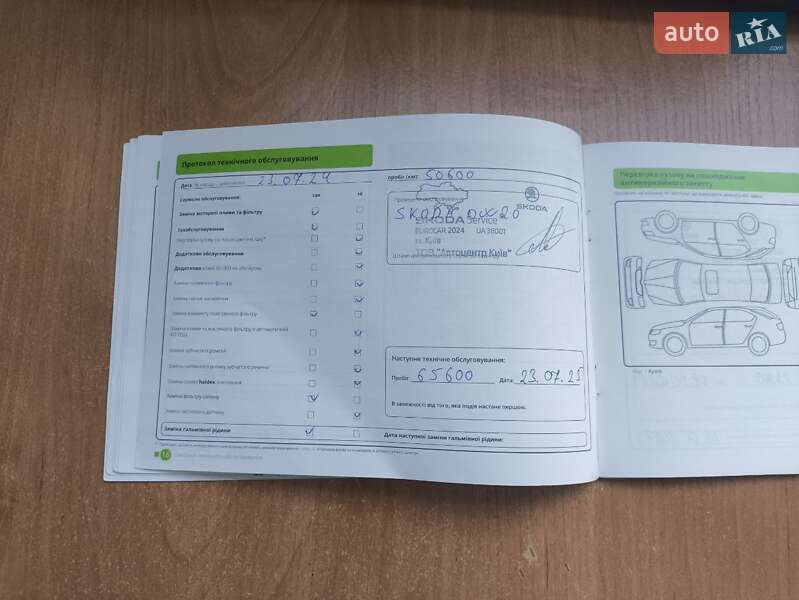 Лифтбек Skoda Octavia 2020 в Песчанке фото 32 Лифтбек Skoda Octavia 2020 в Песчанке