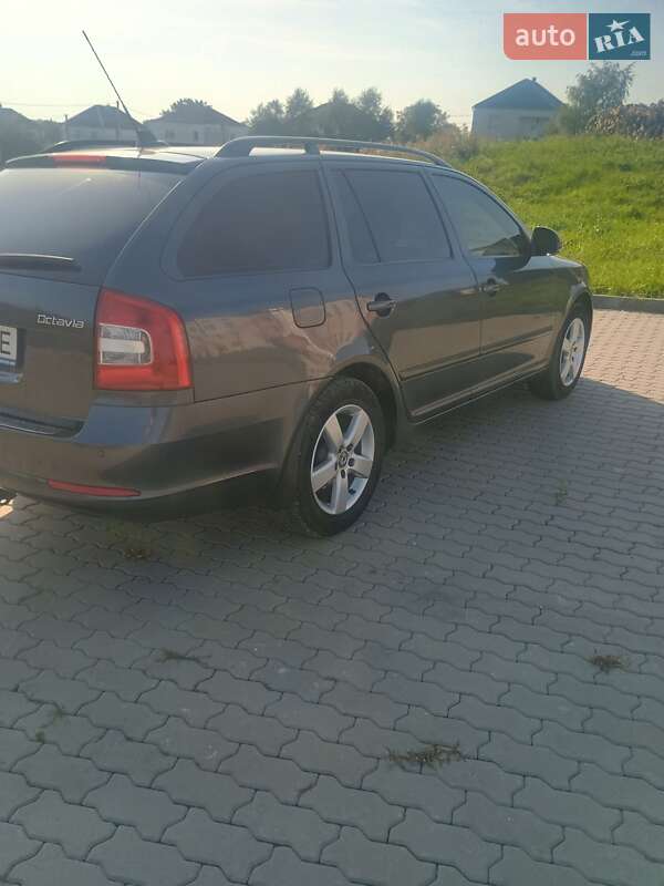 Універсал Skoda Octavia 2010 в Городку