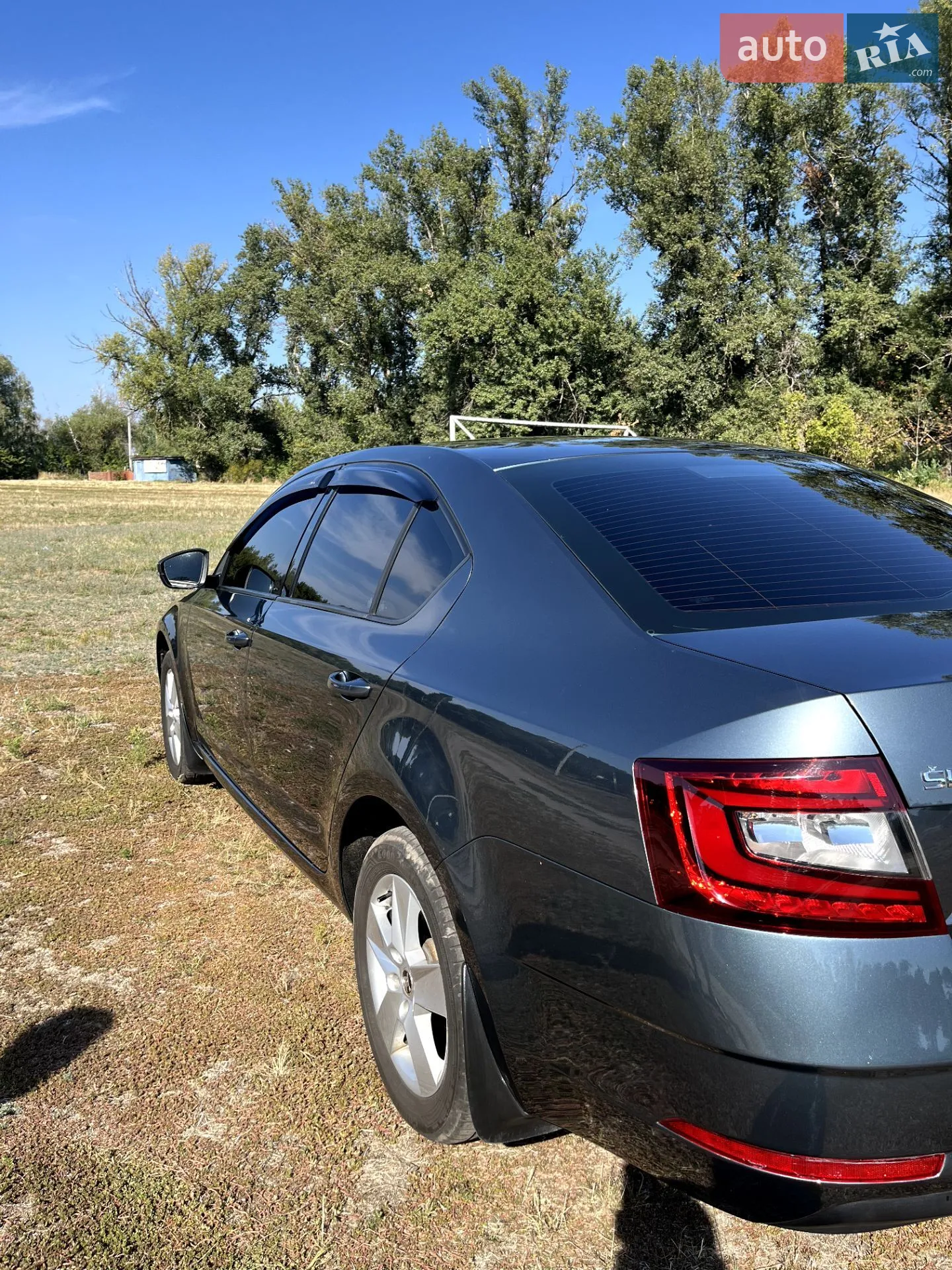 2019 Skoda Octavia - мініатюра 7
