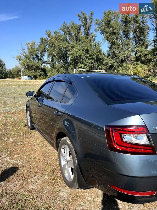 Лифтбек Skoda Octavia 2019 в Смеле фото 7 Лифтбек Skoda Octavia 2019 в Смеле