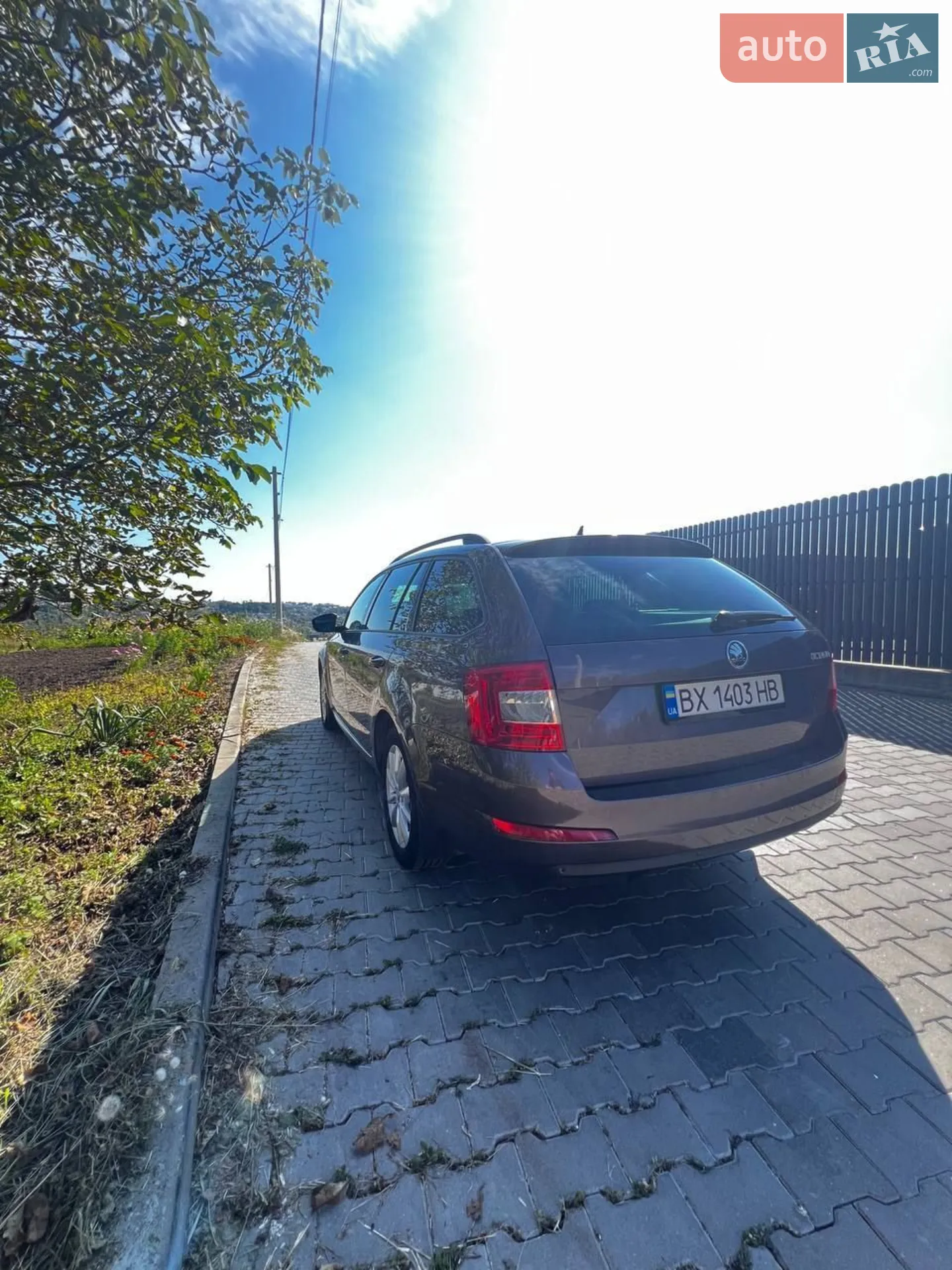 2015 Skoda Octavia - мініатюра 9
