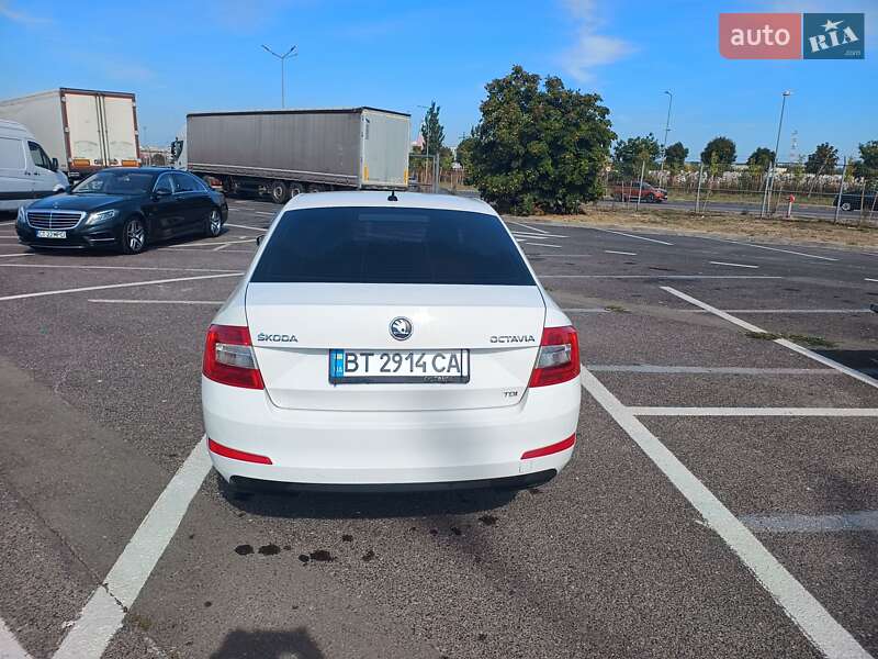 Лифтбек Skoda Octavia 2013 в Херсоне фото 24 Лифтбек Skoda Octavia 2013 в Херсоне