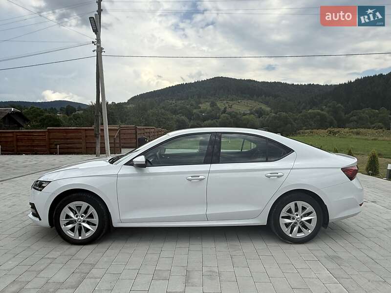 Ліфтбек Skoda Octavia 2023 в Києві фото 6 Ліфтбек Skoda Octavia 2023 в Києві