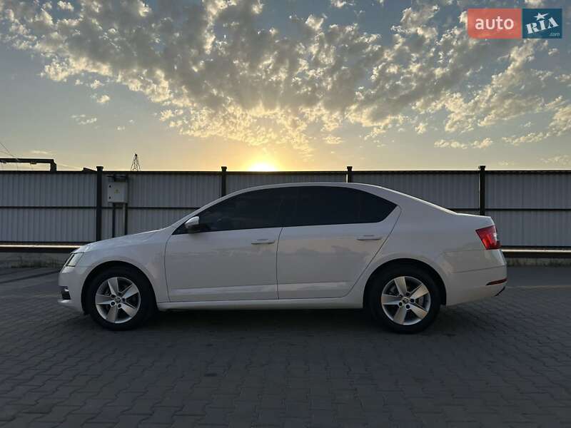 Лифтбек Skoda Octavia 2019 в Луцке