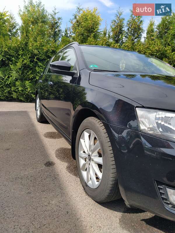 Універсал Skoda Octavia 2015 в Шептицькому