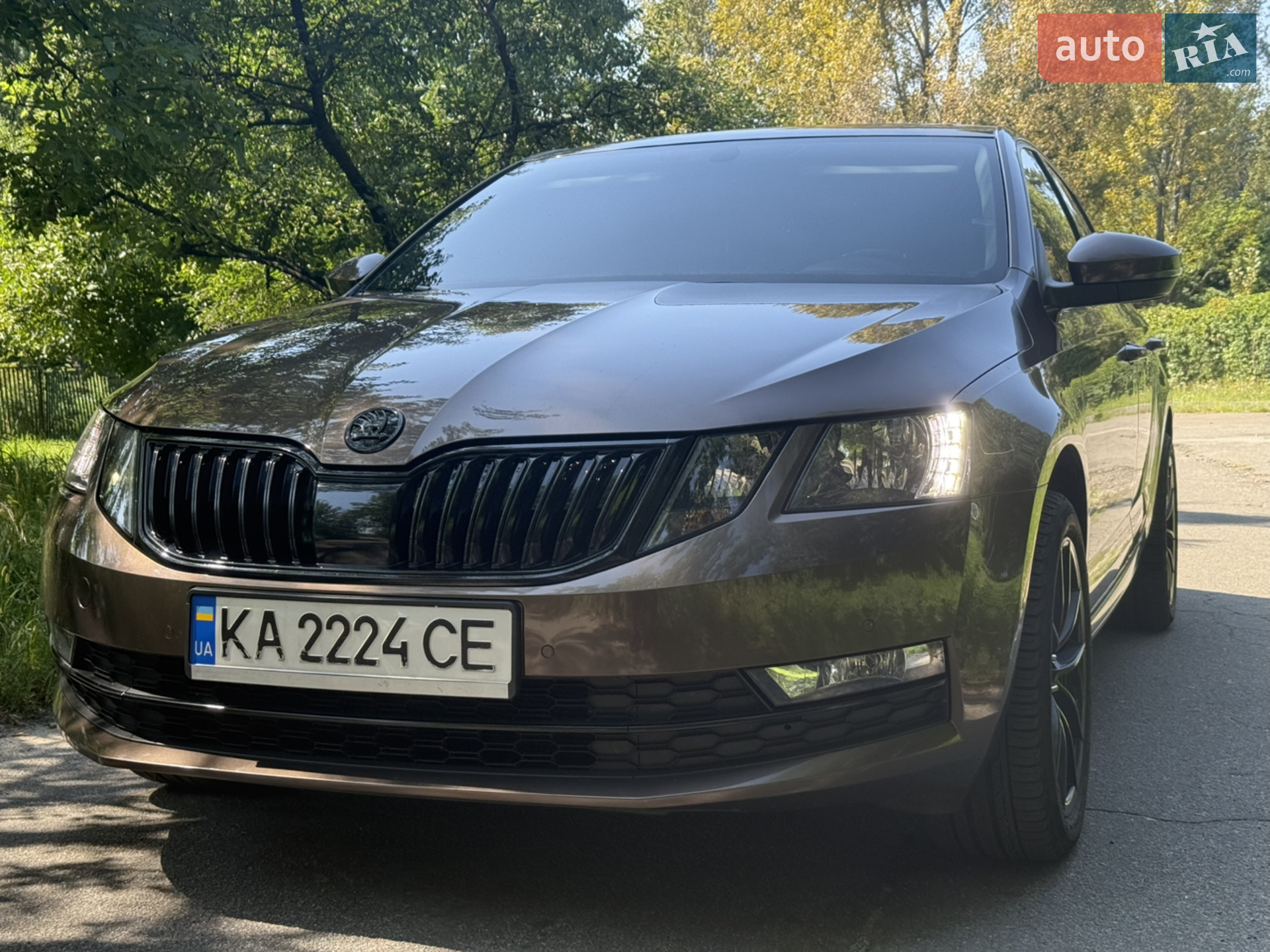 2018 Skoda Octavia - мініатюра 3