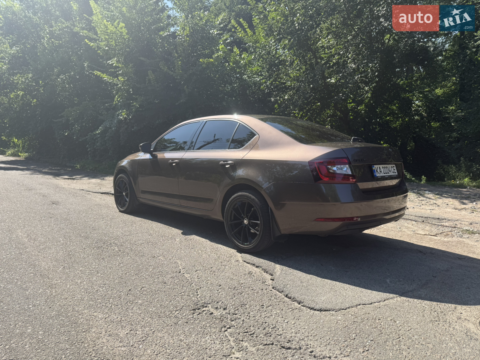 2018 Skoda Octavia - мініатюра 4