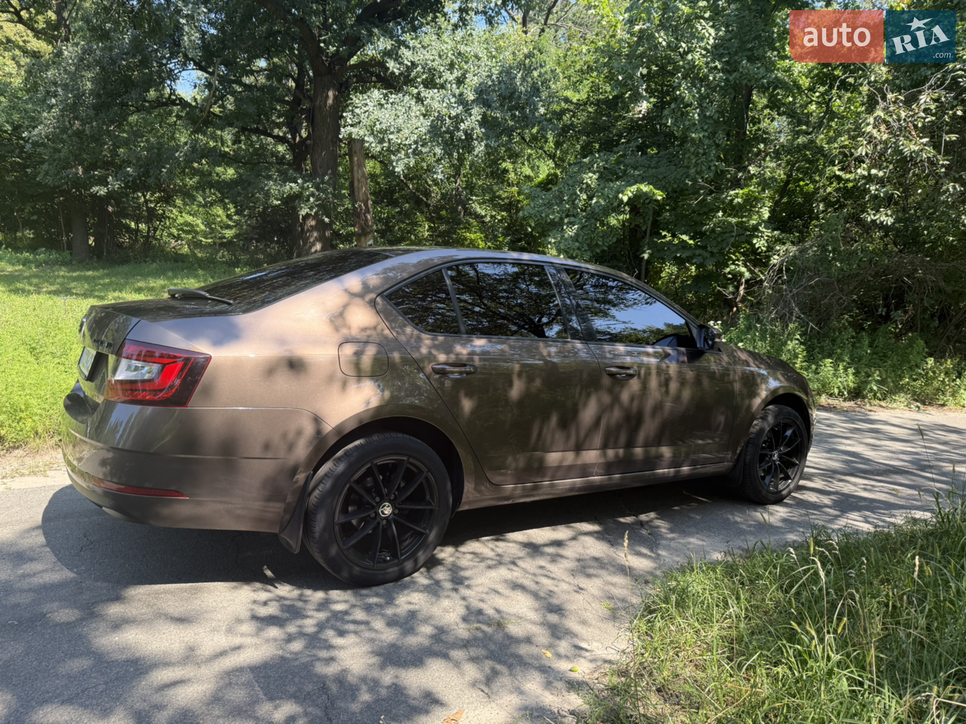 2018 Skoda Octavia - мініатюра 5