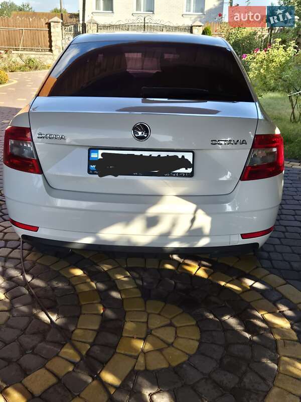 Ліфтбек Skoda Octavia 2017 в Луцьку фото 18 Ліфтбек Skoda Octavia 2017 в Луцьку