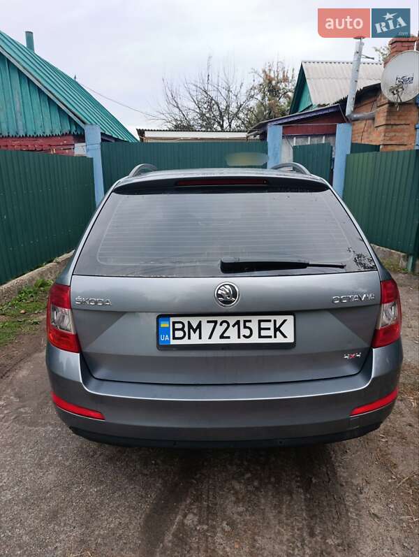 Універсал Skoda Octavia 2013 в Недригайліву