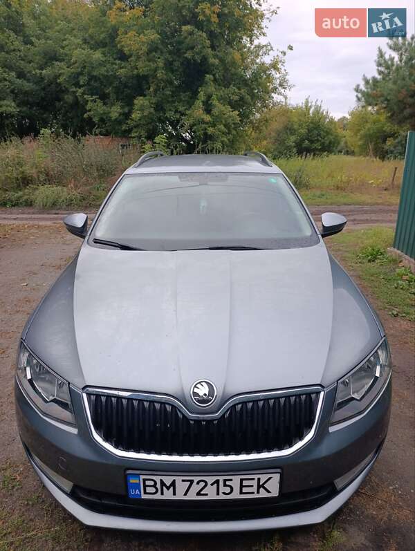 Універсал Skoda Octavia 2013 в Недригайліву