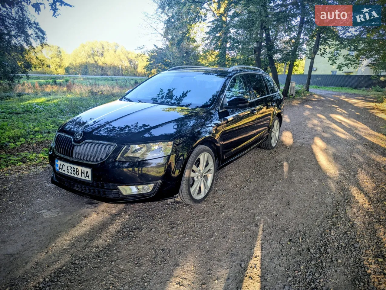 2016 Skoda Octavia - мініатюра 22