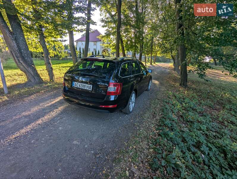 Универсал Skoda Octavia 2016 в Голобах