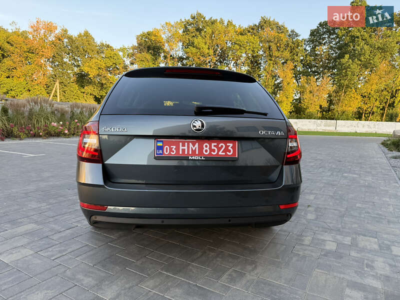 Универсал Skoda Octavia 2019 в Луцке