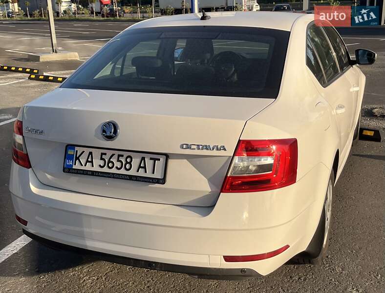 Лифтбек Skoda Octavia 2020 в Киеве