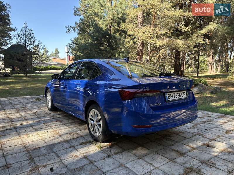 Лифтбек Skoda Octavia 2021 в Полтаве фото 4 Лифтбек Skoda Octavia 2021 в Полтаве