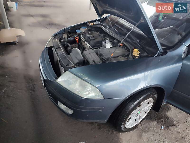 Универсал Skoda Octavia 2006 в Звягеле