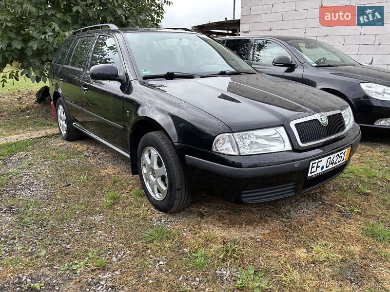 Универсал Skoda Octavia 2009 в Миргороде