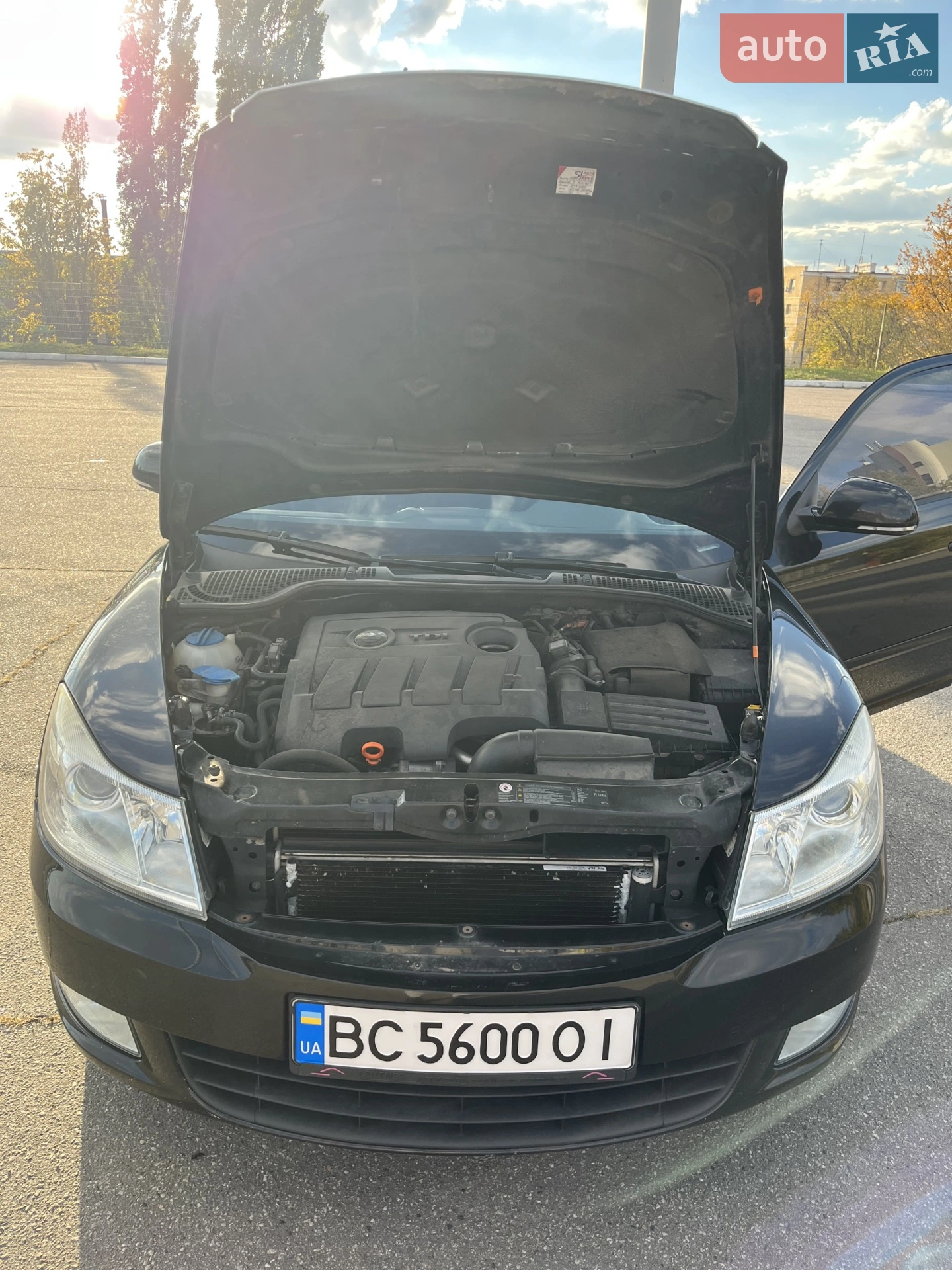 2010 Skoda Octavia - мініатюра 24