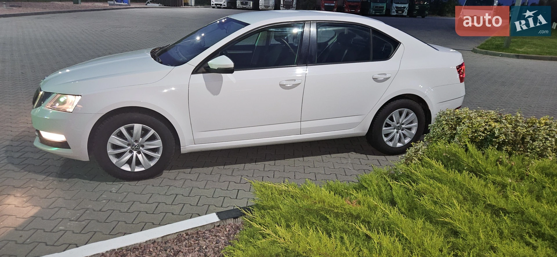 2017 Skoda Octavia - мініатюра 37