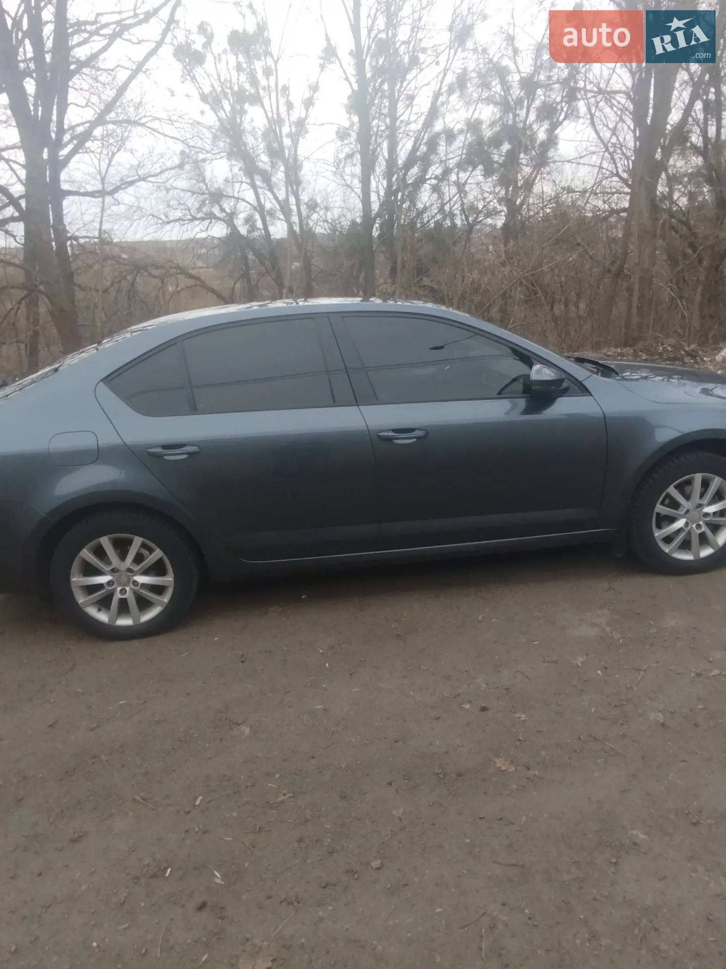 2014 Skoda Octavia - мініатюра 4