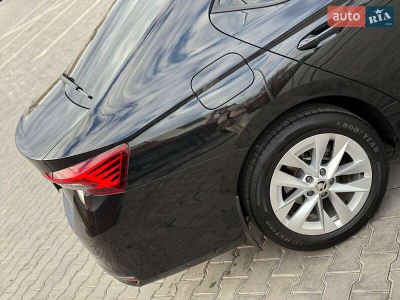 Лифтбек Skoda Octavia 2024 в Кривом Роге фото 23 Лифтбек Skoda Octavia 2024 в Кривом Роге
