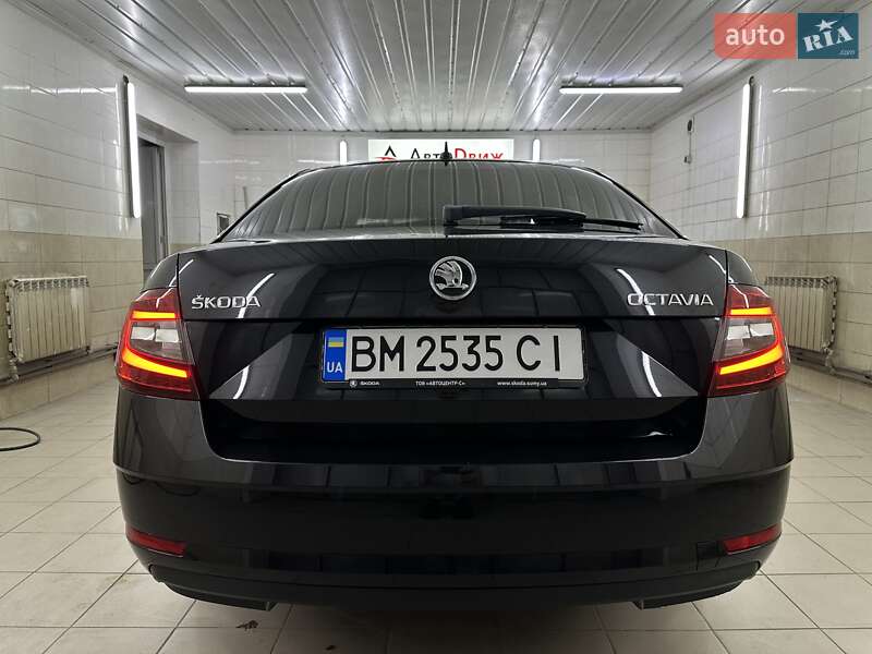 Лифтбек Skoda Octavia 2020 в Сумах фото 13 Лифтбек Skoda Octavia 2020 в Сумах