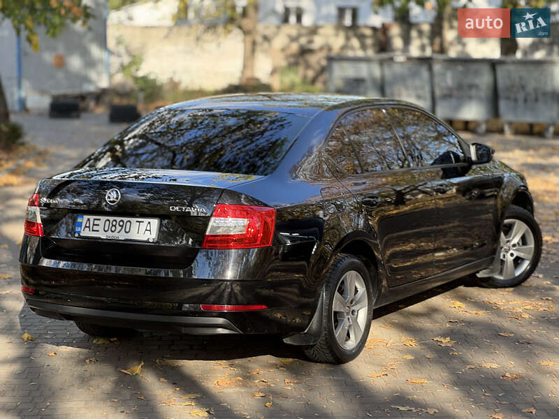 Лифтбек Skoda Octavia 2019 в Днепре фото 4 Лифтбек Skoda Octavia 2019 в Днепре
