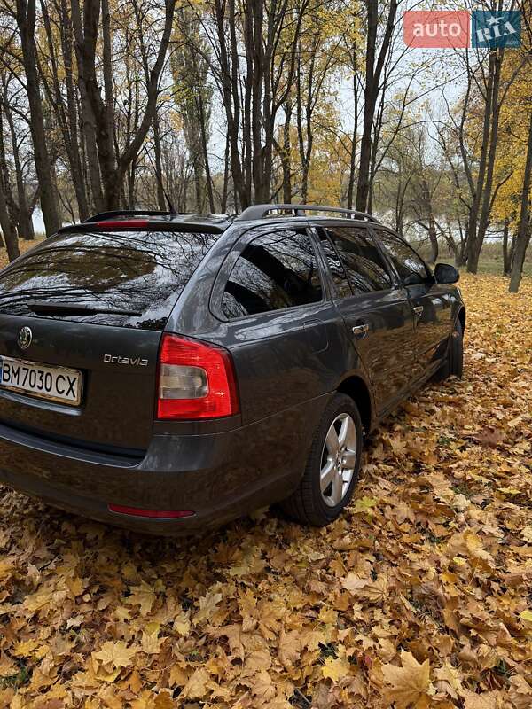 Универсал Skoda Octavia 2011 в Глухове фото 10 Универсал Skoda Octavia 2011 в Глухове