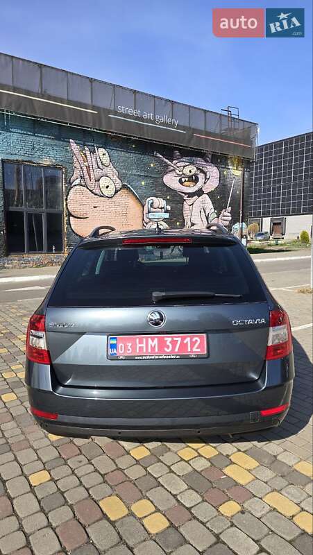 Универсал Skoda Octavia 2019 в Луцке фото 22 Универсал Skoda Octavia 2019 в Луцке