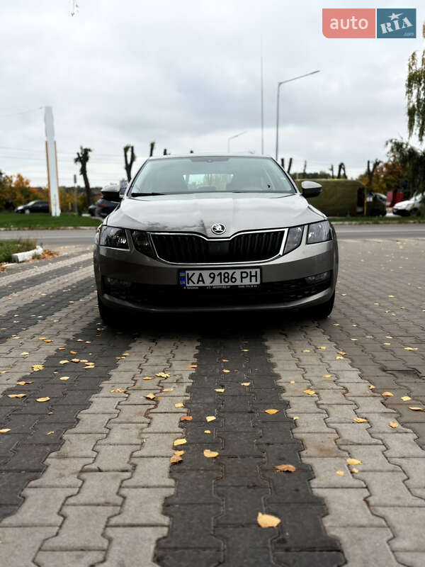 Лифтбек Skoda Octavia 2019 в Киеве фото 18 Лифтбек Skoda Octavia 2019 в Киеве