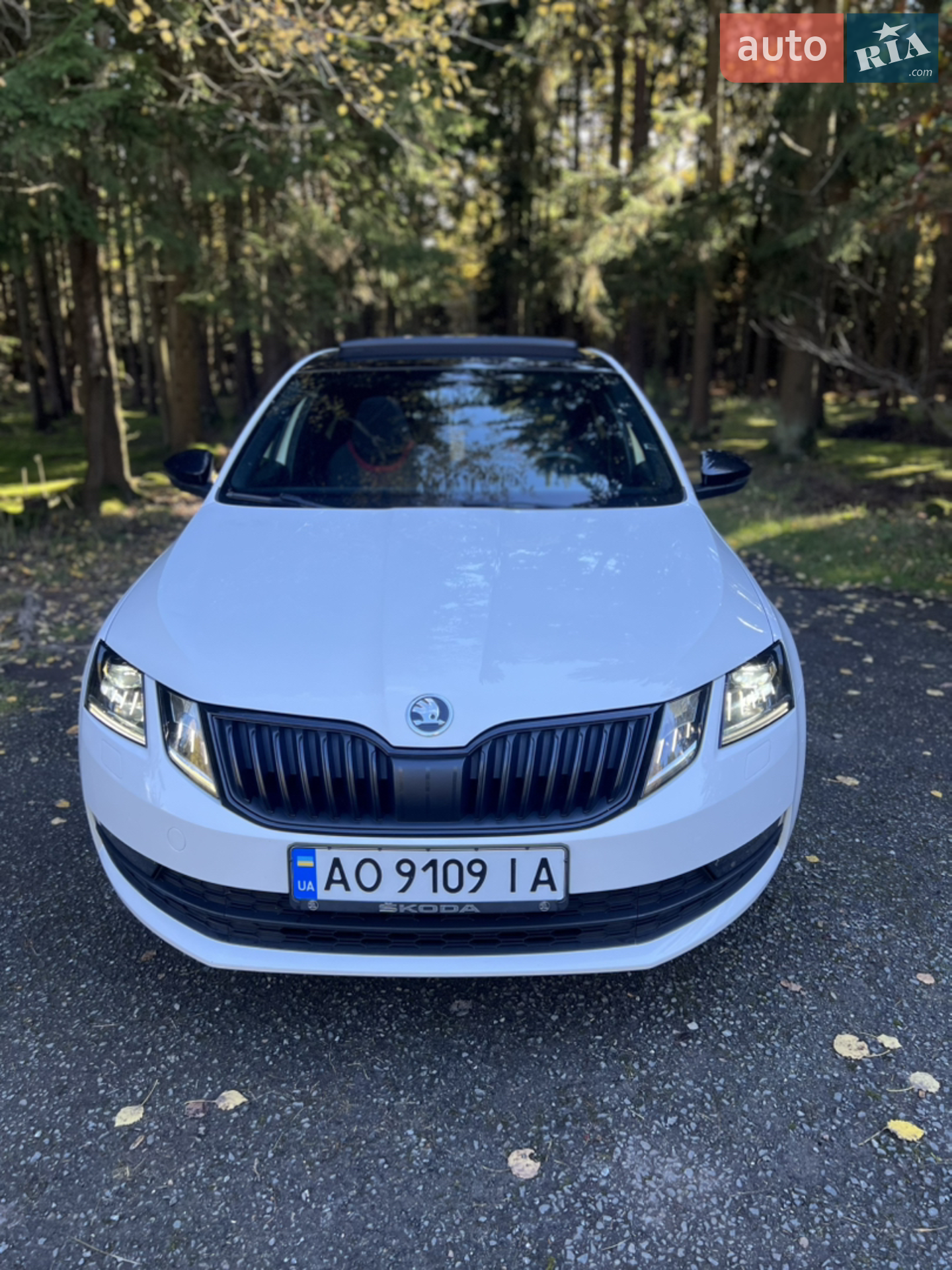 2019 Skoda Octavia - мініатюра 16
