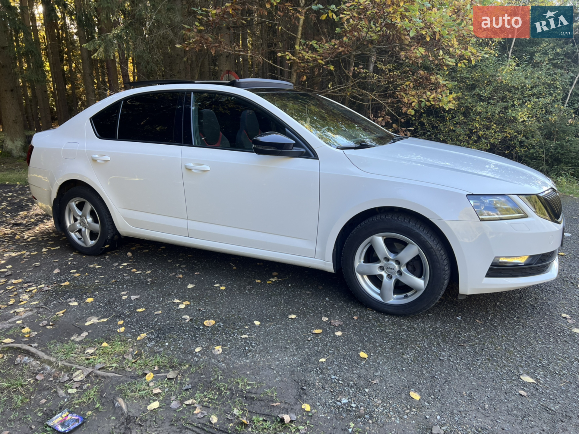 2019 Skoda Octavia - мініатюра 20