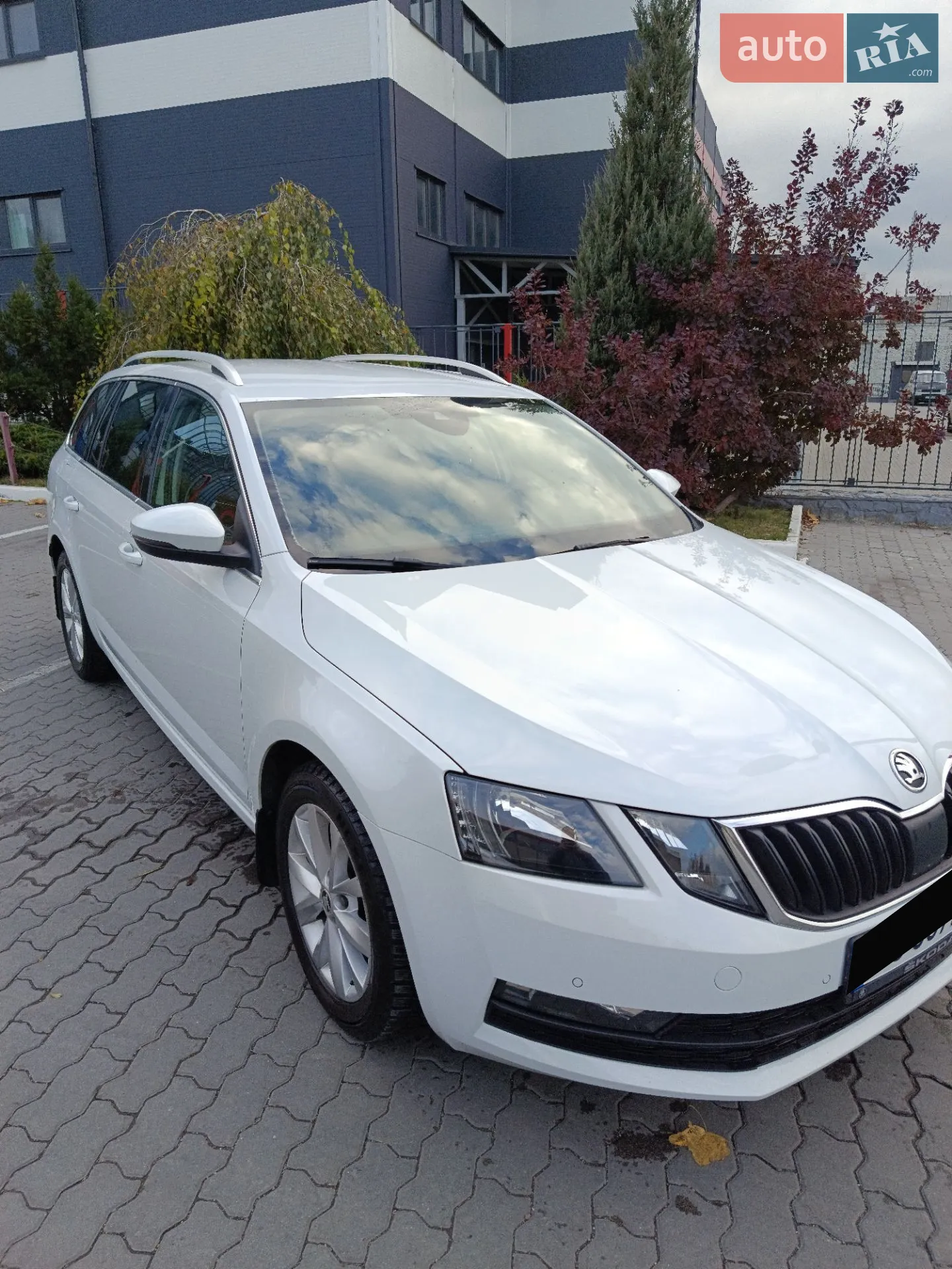 2017 Skoda Octavia - мініатюра 9