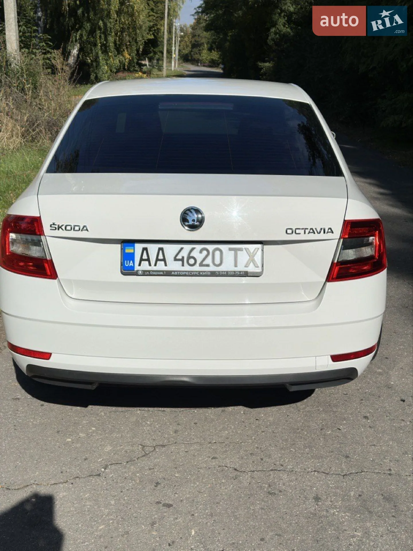 2018 Skoda Octavia - мініатюра 5