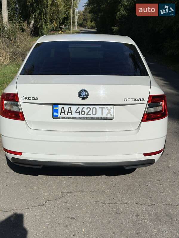 Лифтбек Skoda Octavia 2018 в Гадяче фото 5 Лифтбек Skoda Octavia 2018 в Гадяче