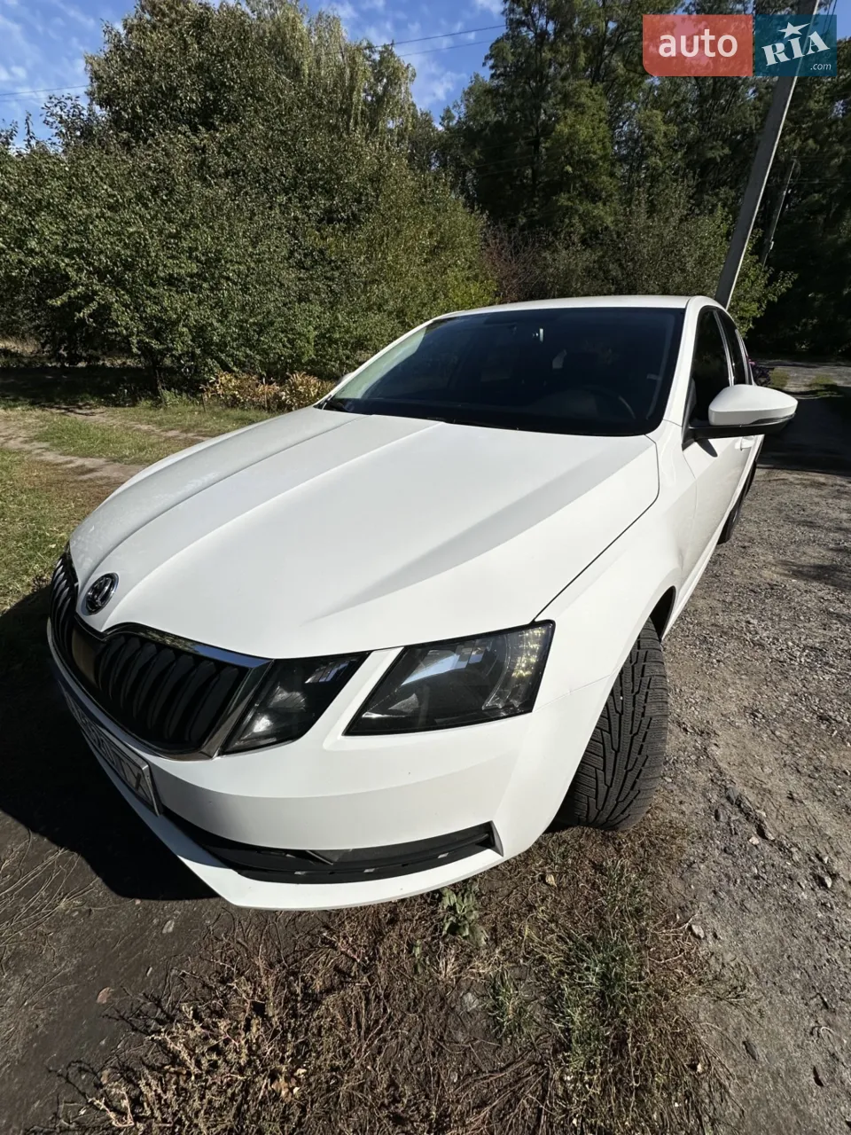 2019 Skoda Octavia - мініатюра 20