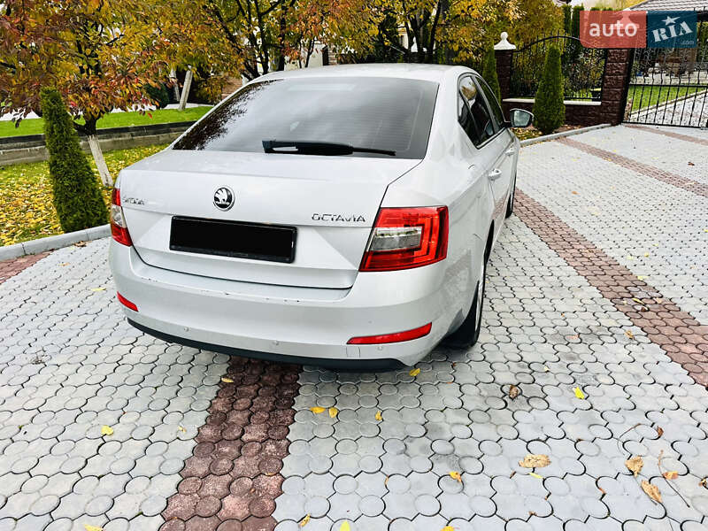 Ліфтбек Skoda Octavia 2015 в Грушево фото 96 Ліфтбек Skoda Octavia 2015 в Грушево