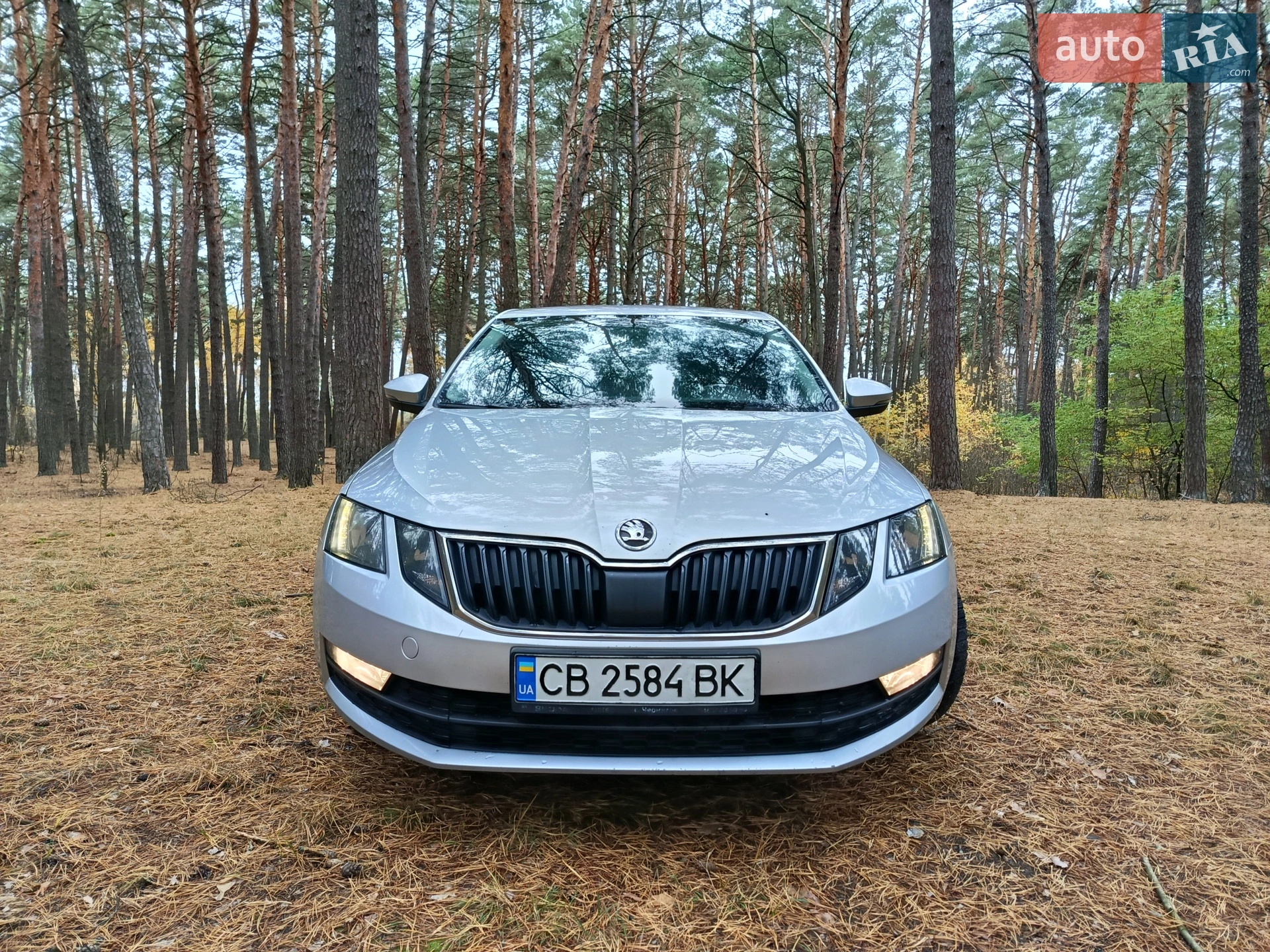 2017 Skoda Octavia - мініатюра 9