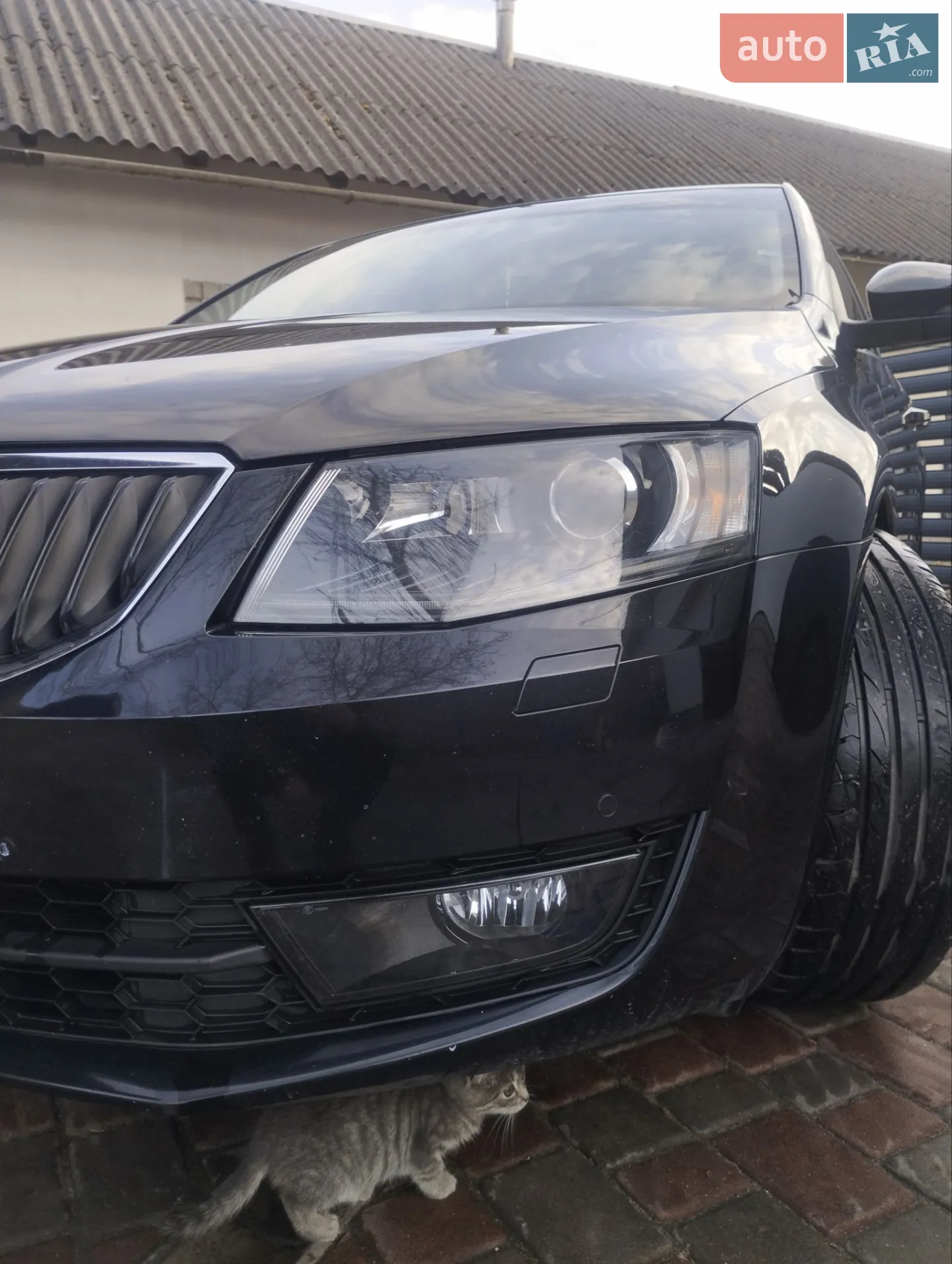 2016 Skoda Octavia - мініатюра 11